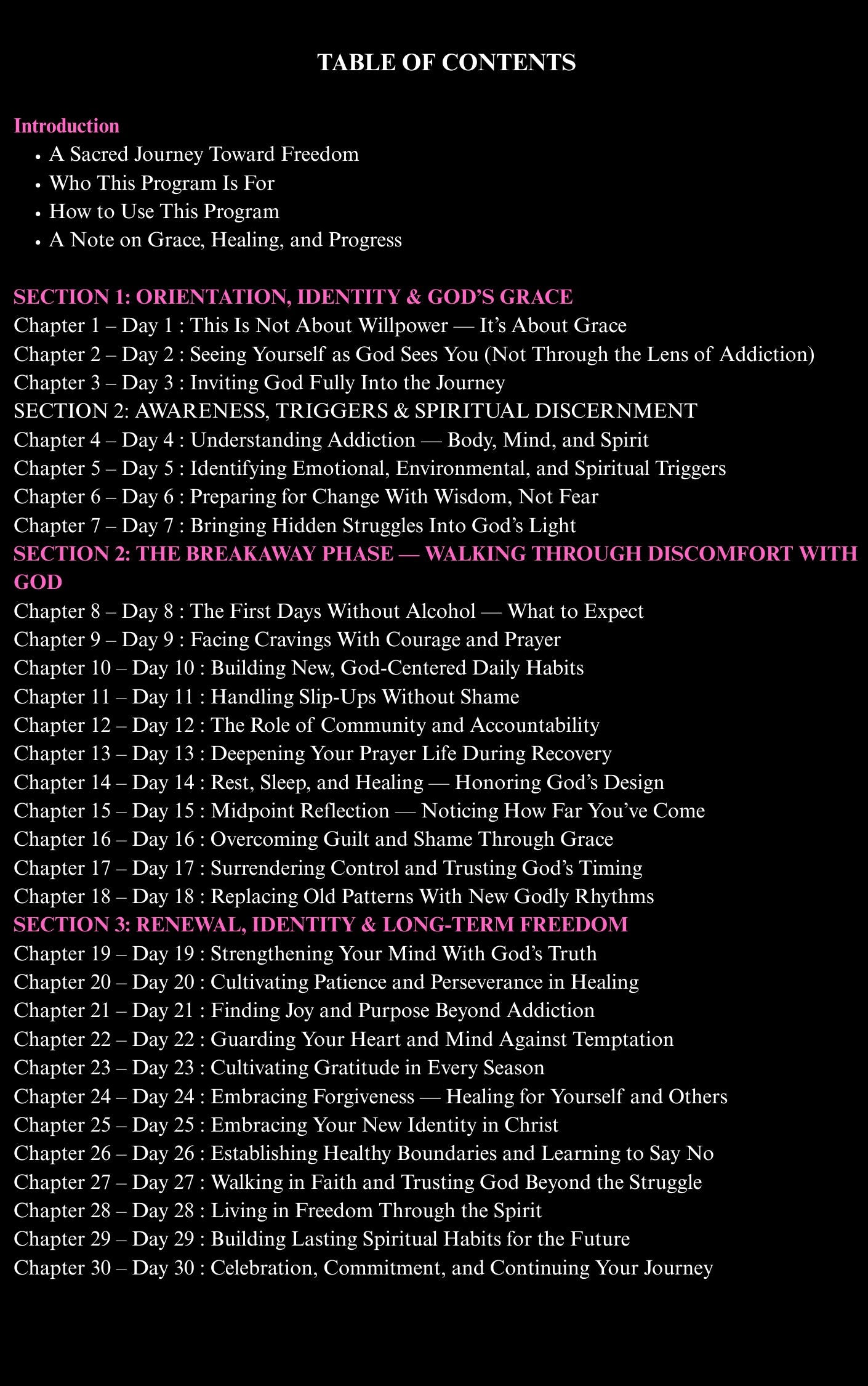 "New Wine Within" 30 Day Faith-Based Alcohol Freedom Program